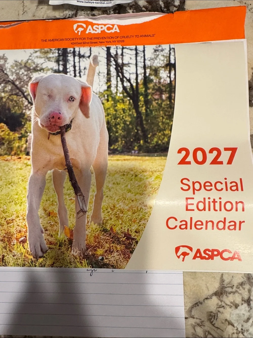 2027 Special Edition Calendar - Cream/Orange